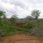 2006-10_Umba Valley (27)
