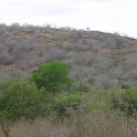 2006-10_Umba Valley (47)