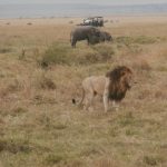 2013-07_Masai-Mara-10.jpg
