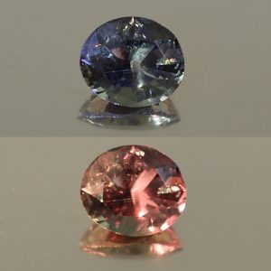 ColorChangeGarnet_oval_6.2x5.3mm_0.94cts_N_cc327_combo