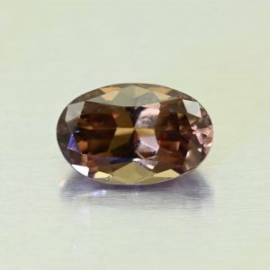CCDragonGarnet_oval_9.4x6.0mm_2.17cts_N_cc103_primary