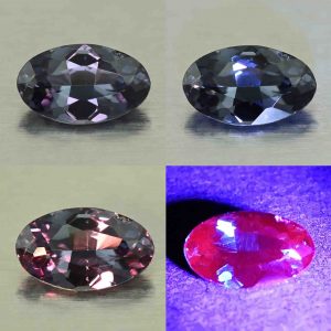 CCDragonGarnet_oval_7.0x4.2mm_0.67cts_N_cc580_combo_All_SOLD